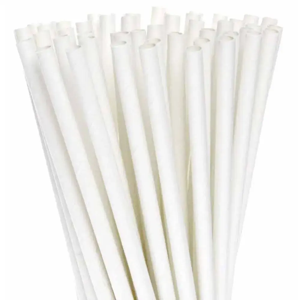 Estilo Canudo De Papel 6mm C 100un Cn6
