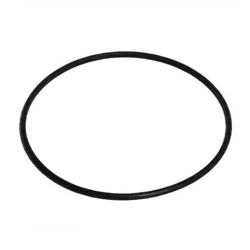 Anel Vedador Flange Bomba Combustível - DS 1465