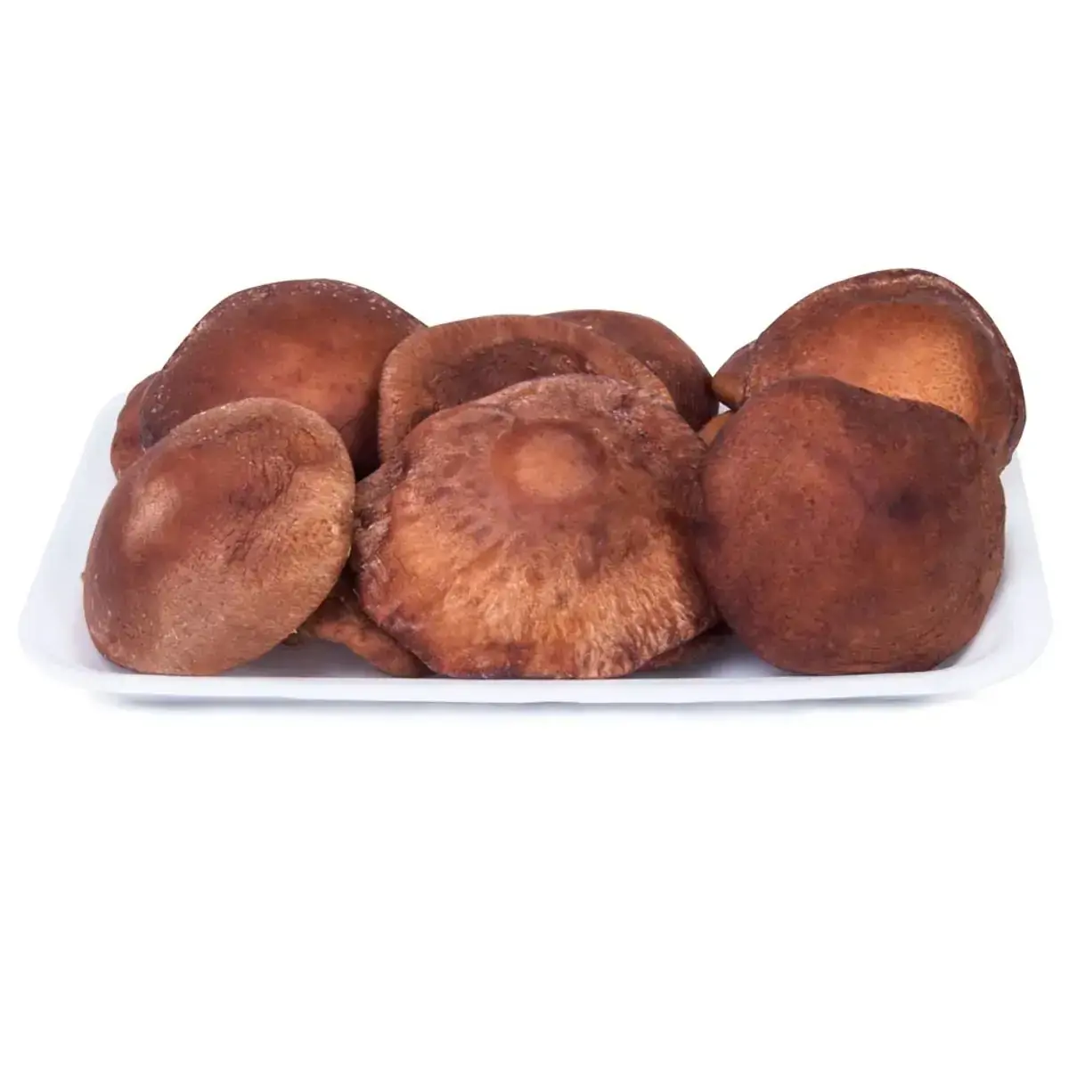 Shitake Vida Natural Band 200g