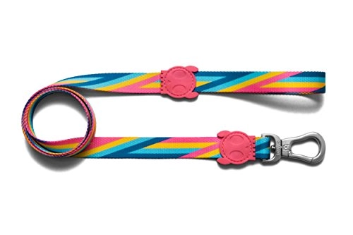 Zee.dog Bowie | Dog Leash | Extremely Safe | Ultra Durable | Super Light | Premium Quality | 4 Ft X