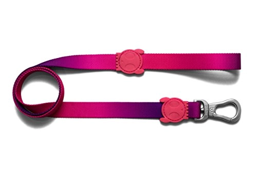 Zee.dog Juno | Dog Leash | Extremely Safe | Ultra Durable | Super Light | Premium Quality | 4 Ft X 1