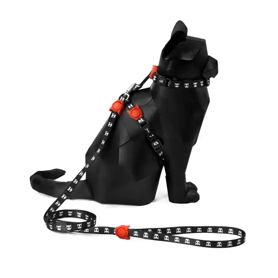 Peitoral Guia Skull Cat Set Zeedog