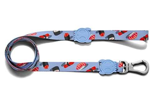 Zee.dog Wasabi | Dog Leash | Extremely Safe | Ultra Durable | Super Light | Premium Quality | 4 Ft X