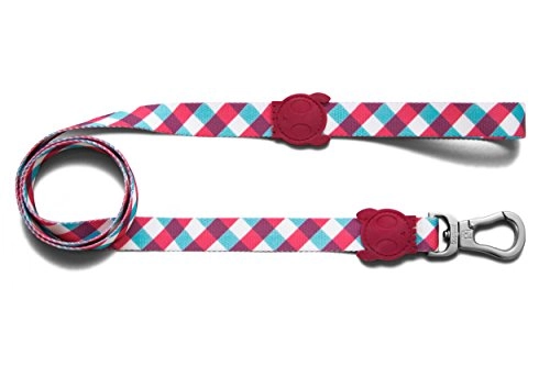 Zee.dog Gummy | Dog Leash | Extremely Safe | Ultra Durable | Super Light | Premium Quality | 4 Ft X