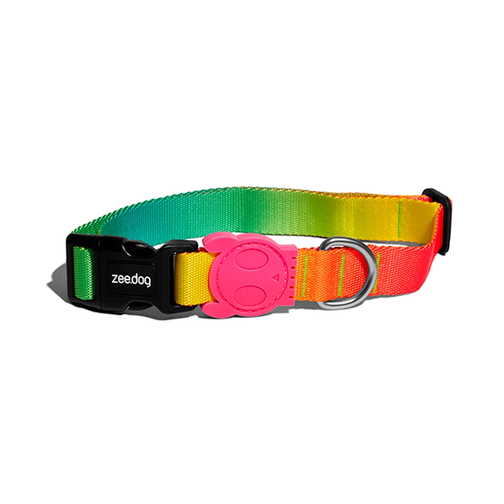 Coleira Para Cachorros Citrus Pp