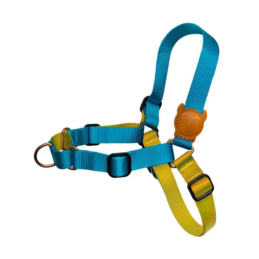 Peitoral Antipuxão Aziza Soft Walk Tamanho P Zee.dog