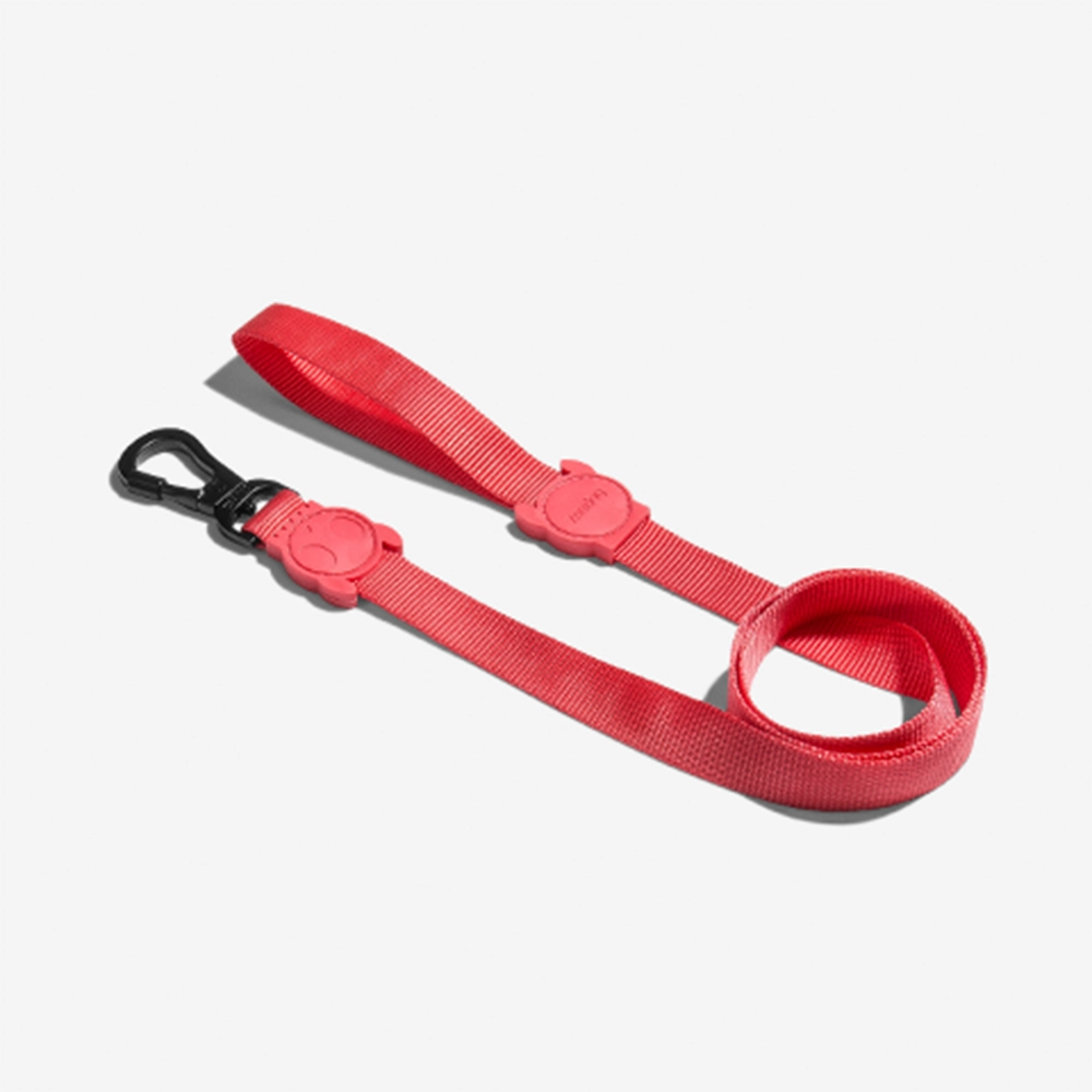Guia Para Cachorros Neon Coral P