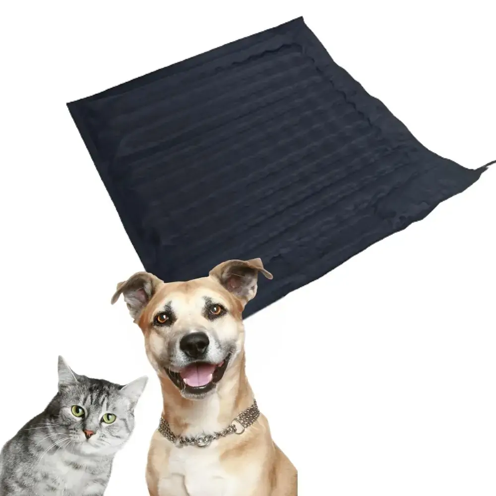 Tapete Pet Térmico Elétrico Termopet Almofada Cama 60x60 Bivolt Styllus Term