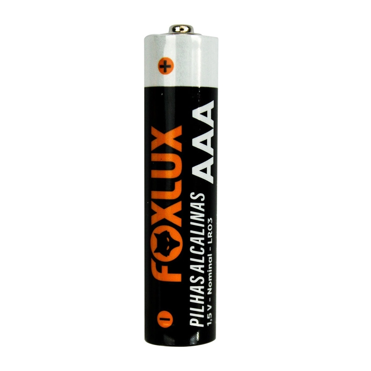 Pilha Alcalina Foxlux Palito 2