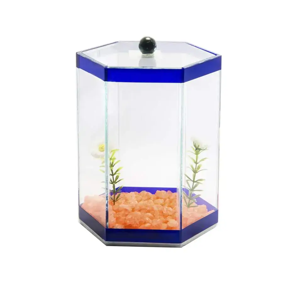 Aquário Beteira Design Para Peixes Sextavada Decorada