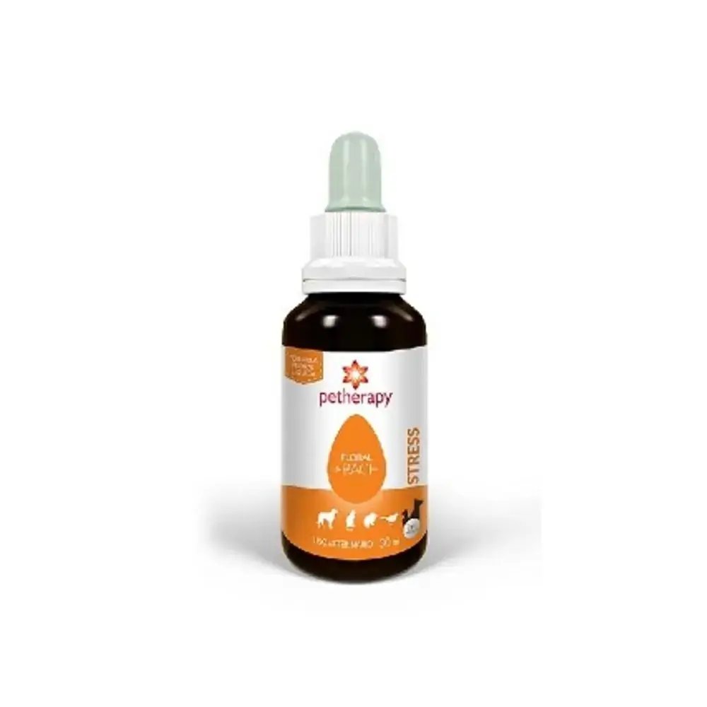 Floral Tratamento Stress 30ml