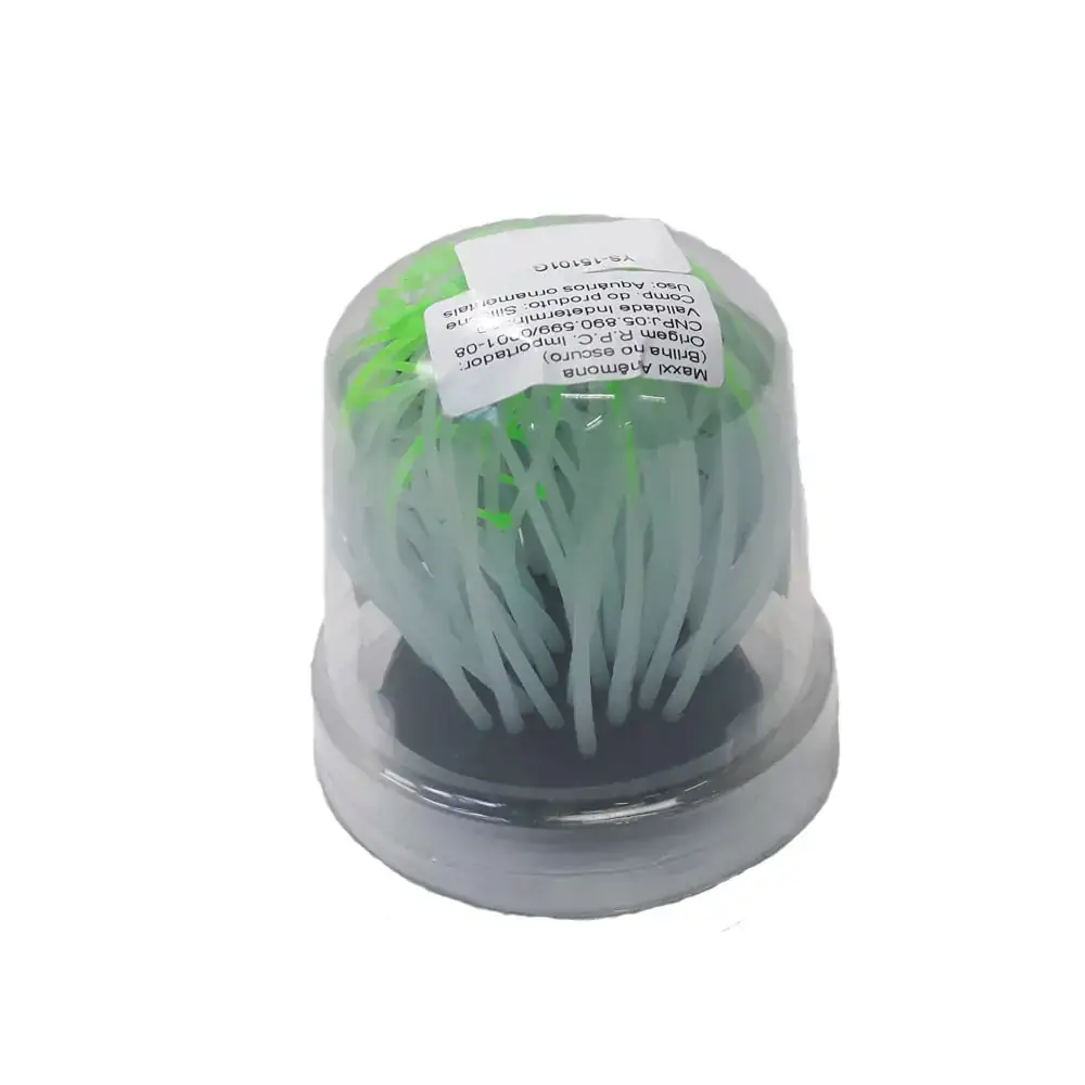 Anêmona Verde Para Aquário