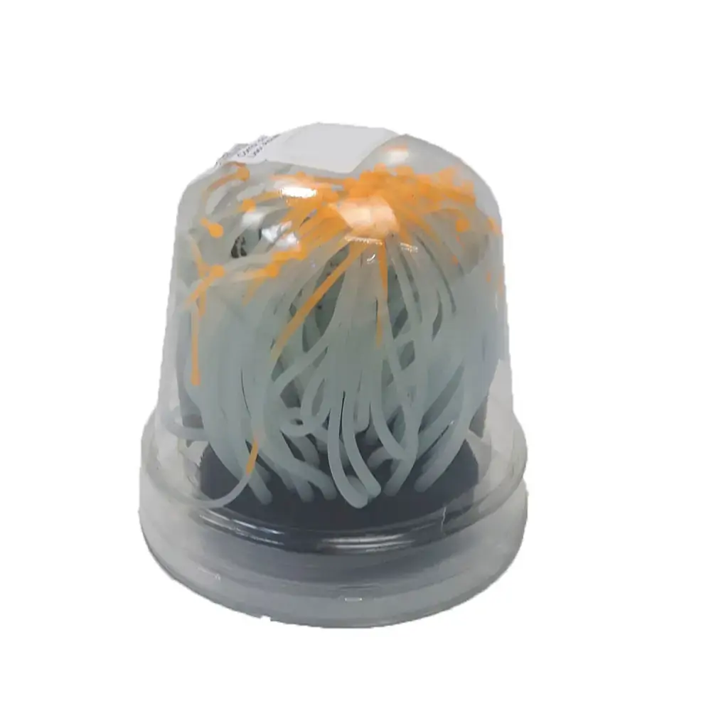 Anêmona Ys 5101o Laranja
