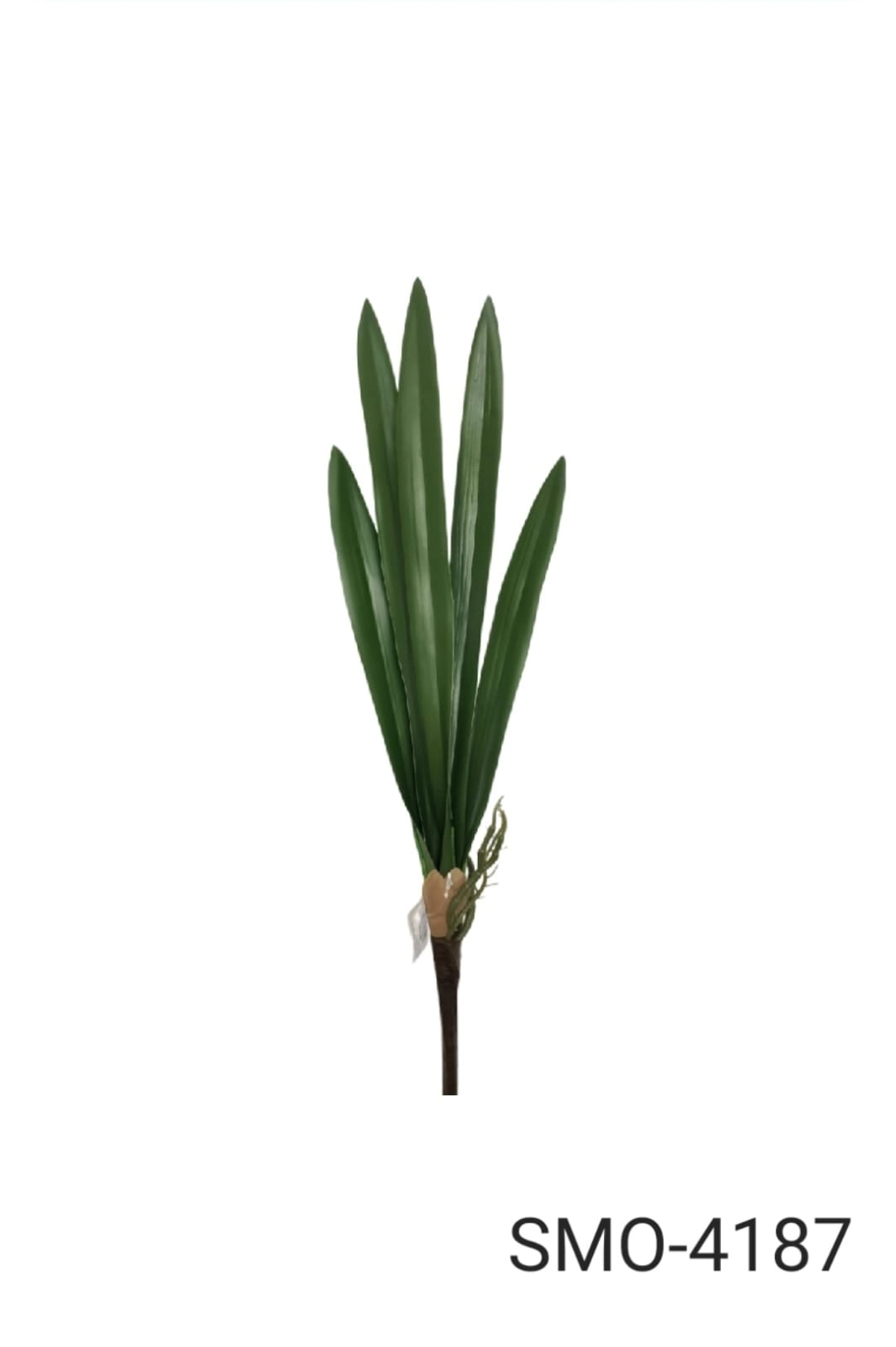 Folha Orquidea Verde 56cm Smo 4187 Smo
