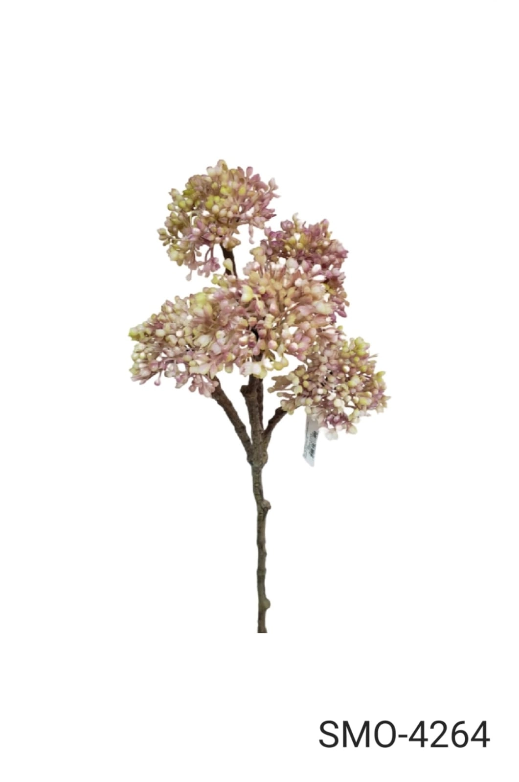 Suculenta Rose Verde 65cm Smo 4264 Smo