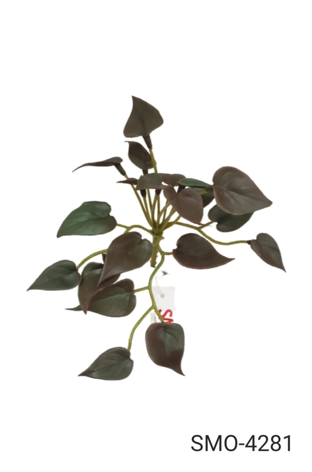 Suculenta Marrom 12cm Smo 4281 Smo