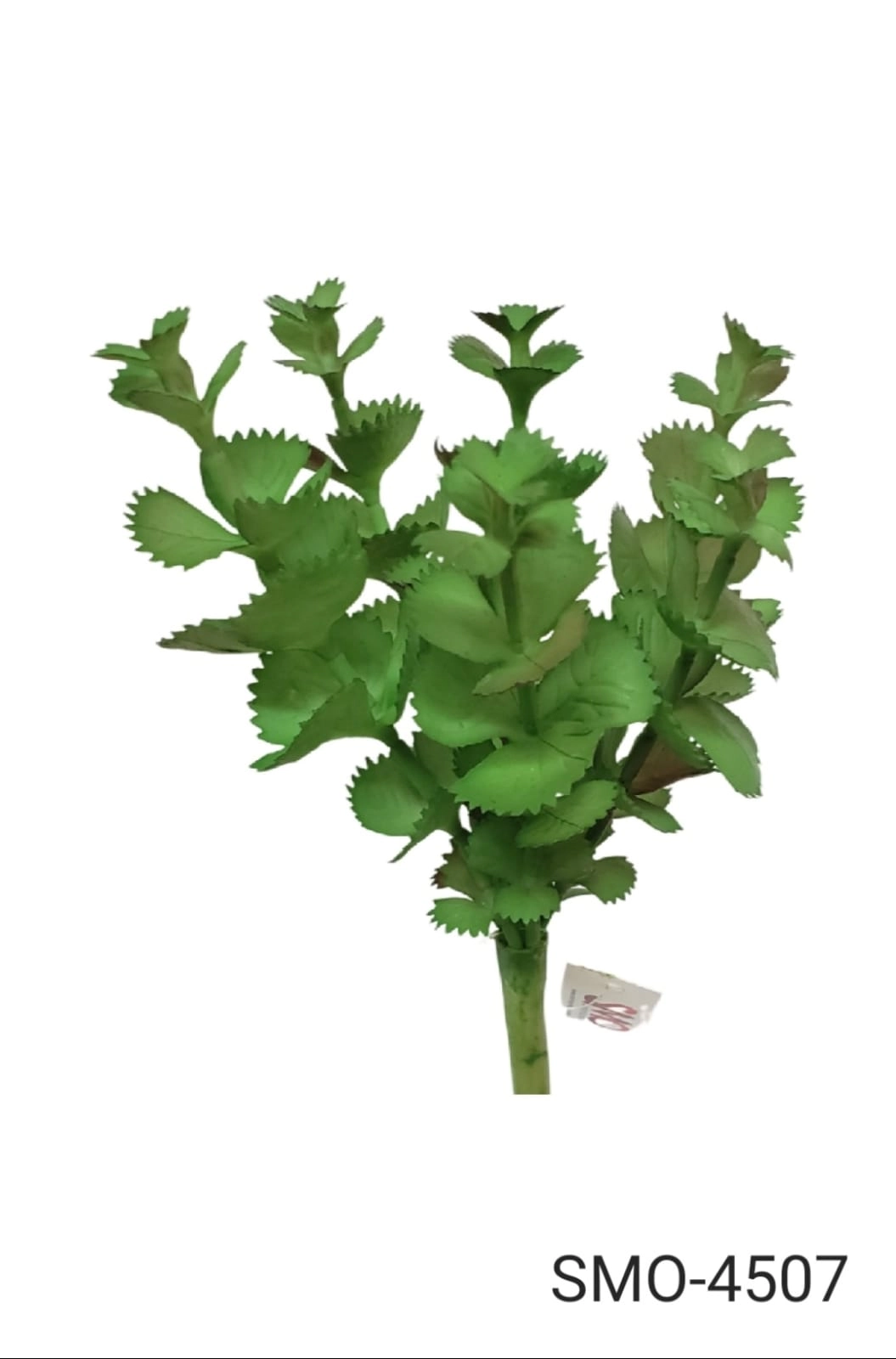 Suculenta Verde 20cm Smo 4507 Smo