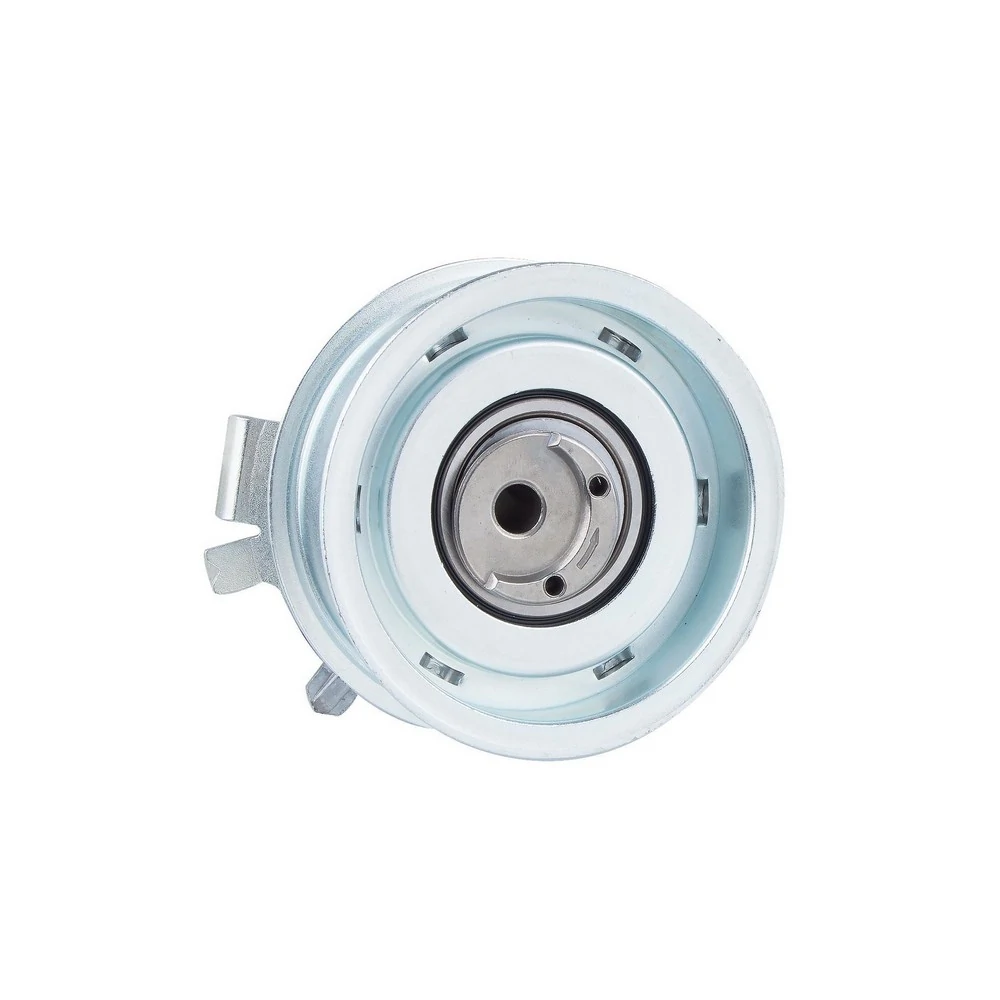 Tensor da Correia Dentada - RANALLE R4108