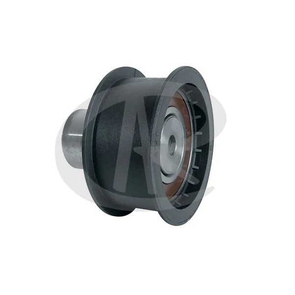 Polia Guia da Correia Dentada - RANALLE R4145