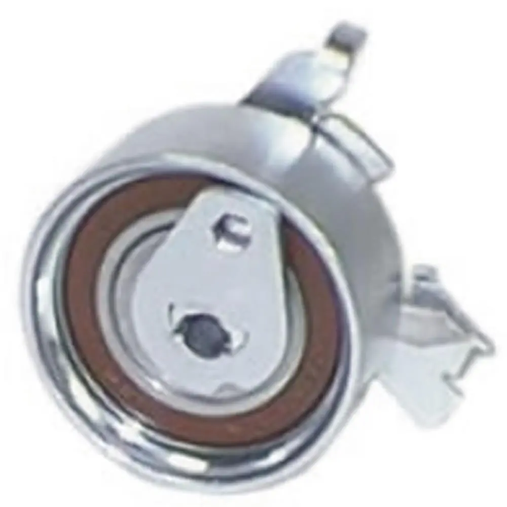 Tensor da Correia Dentada - RANALLE R4305