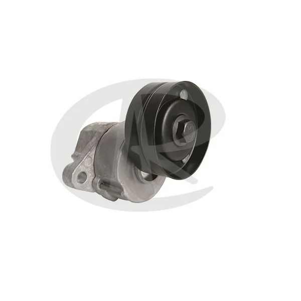 Tensor da Correia do Alternador - RANALLE R4320
