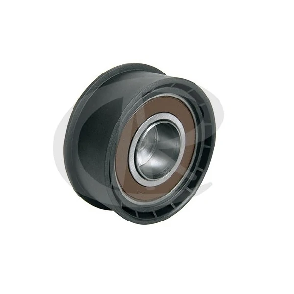 Polia Guia da Correia Dentada - RANALLE R4353