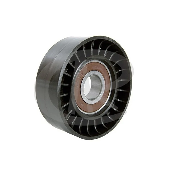 Polia do Tensor Alternador - RANALLE R4447