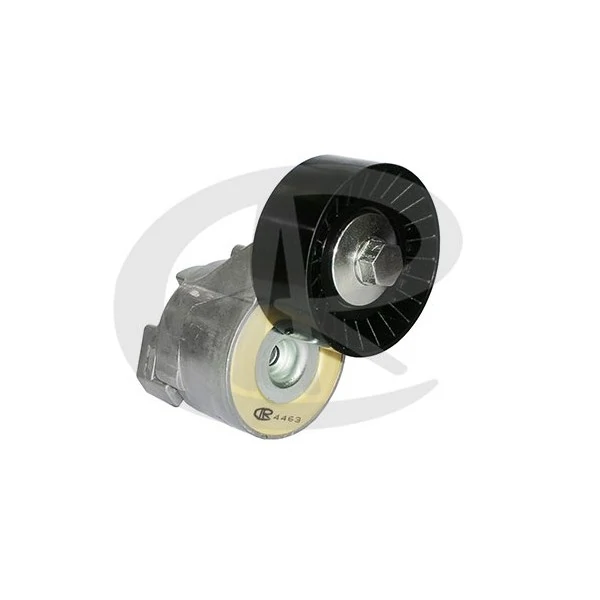 Tensor da Correia do Alternador - RANALLE R4463