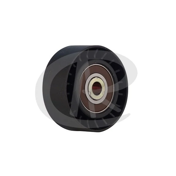 Polia do Tensor Alternador PEUGEOT 206/307 - RANALLE R4522