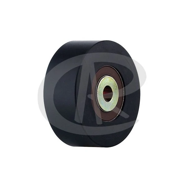 Polia do Tensor Alternador - RANALLE R4523