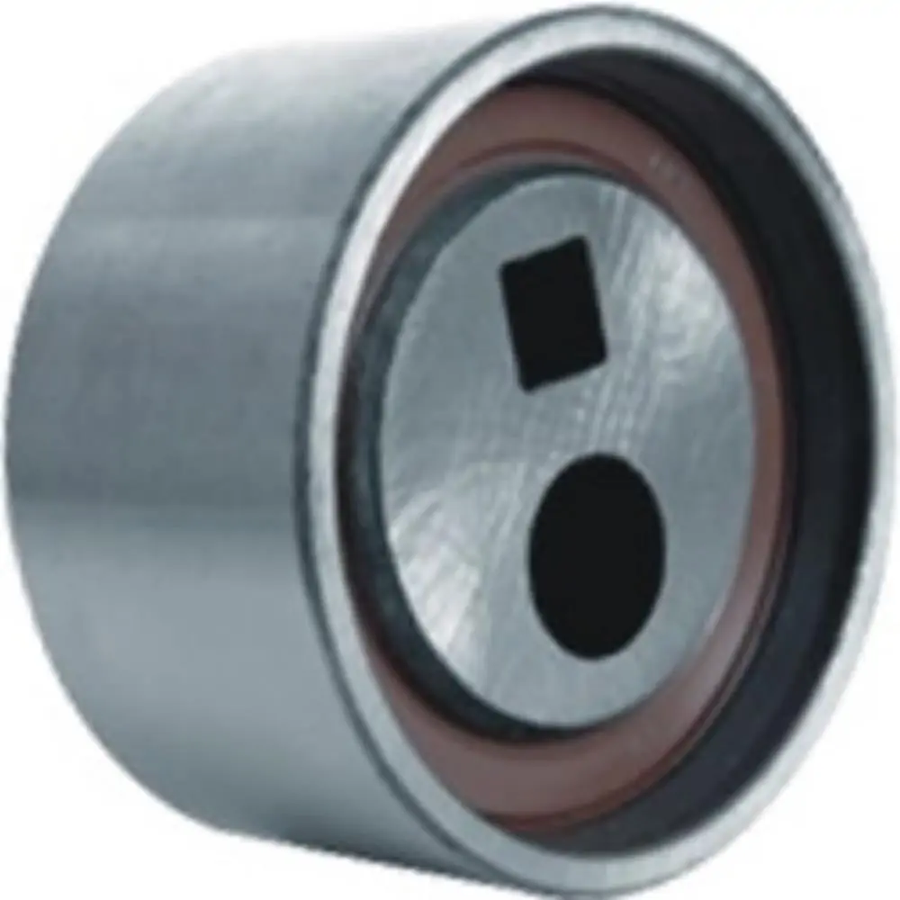 Tensor da Correia Dentada - RANALLE R4569