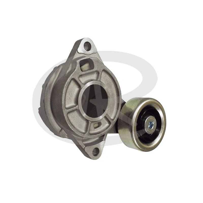 Tensor da Correia do Alternador HONDA CITY/FIT - RANALLE R4711