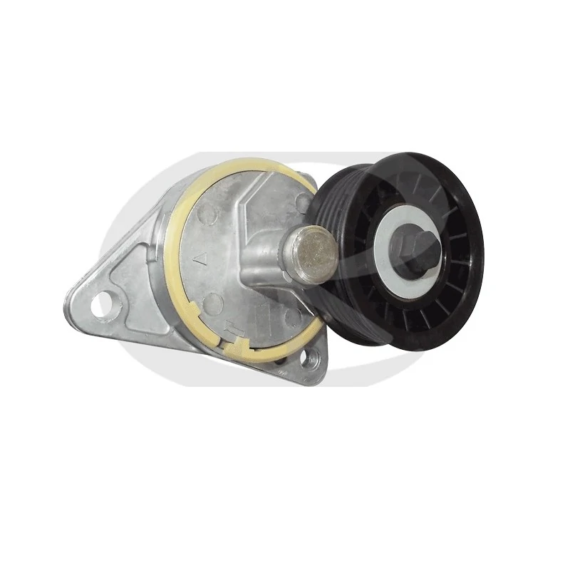 Tensor da Correia do Alternador FORD FOCUS/MONDEO - RANALLE R4245