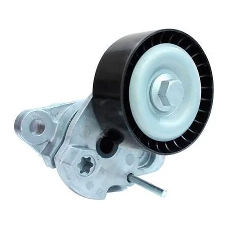 Tensor da Correia do Alternador - RANALLE R4139