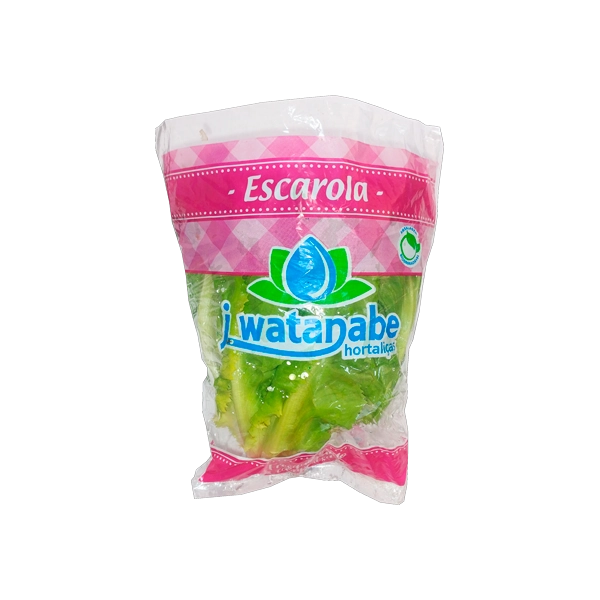 J.watanabe/escarola
