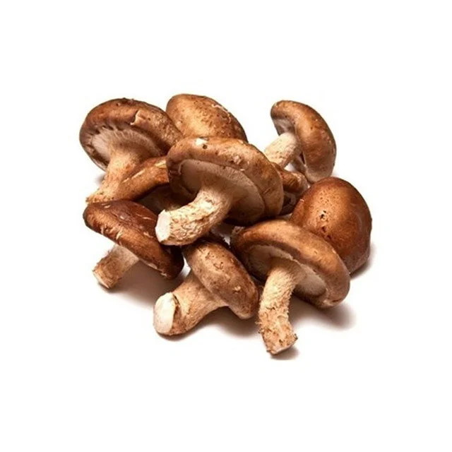 Shitake Watanbe