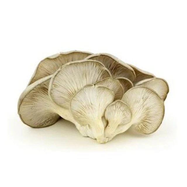 Cogumelo Hiratake Jwatanabe 200g