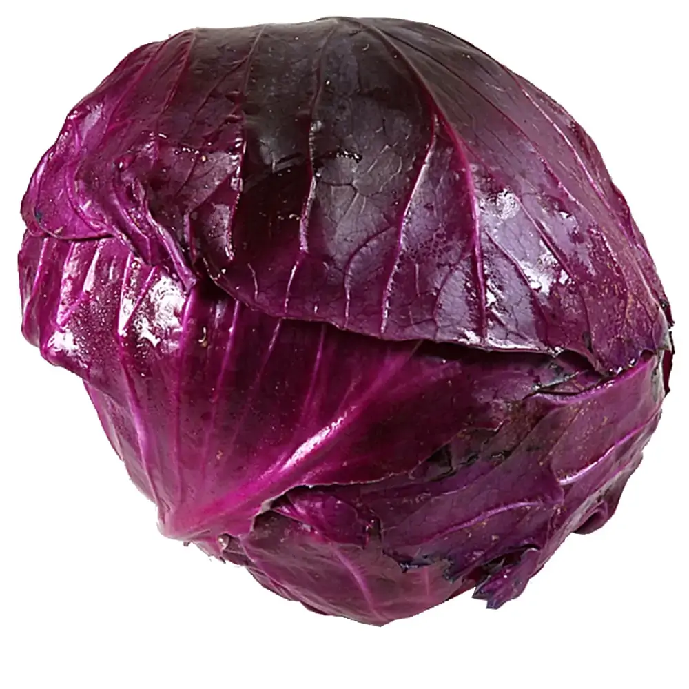 Repolho Roxo Camilo Verduras Un