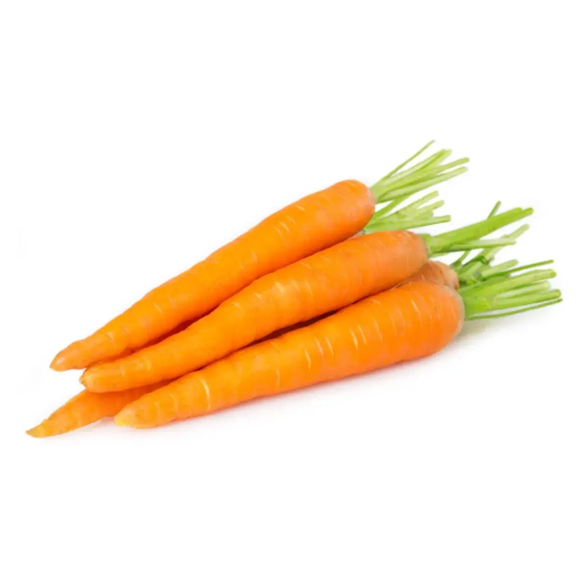 Cenoura Benassi Pct 1kg