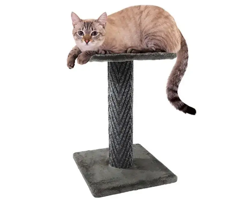 Arranhador Gatos 1 Andar Suspenso