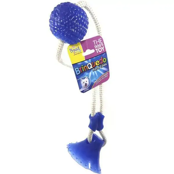 Brinquedo Mordedor Bola Com Ventosa Azul