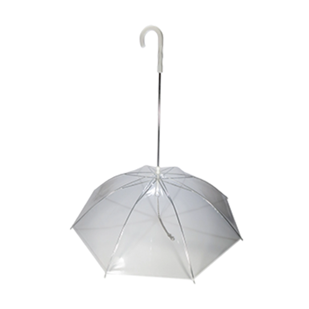 Guarda Chuva Transparente Com Guia