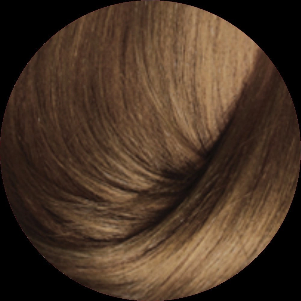 Tint Haskell 7.3 Louro Medio Dourado