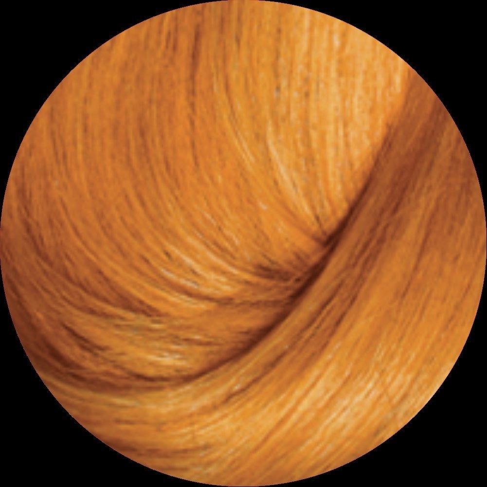 Tintura Haskell Excllusiv Color Louro Claro Acobreado 8.40