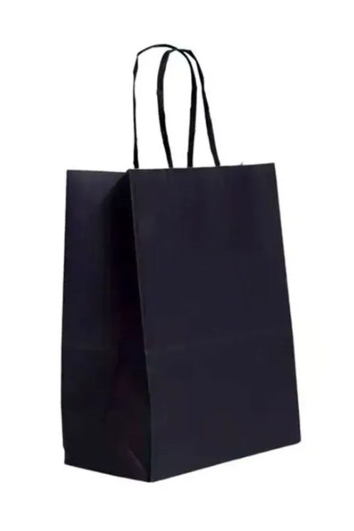 Sac 175x85x215 Pr 10u