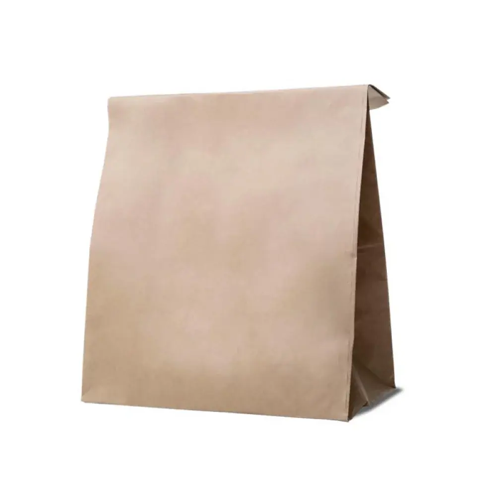 Saco De Papel 23,5cmx13cmx31,5 C/10und Kr