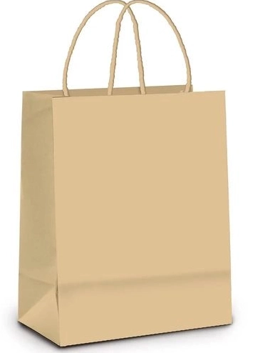 Sacola Kraft Natural 30 5x11