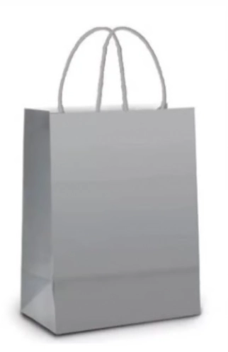 Sacola Kraft Bco Chap Prata 13,5 X 8 X 16 Pct C/10