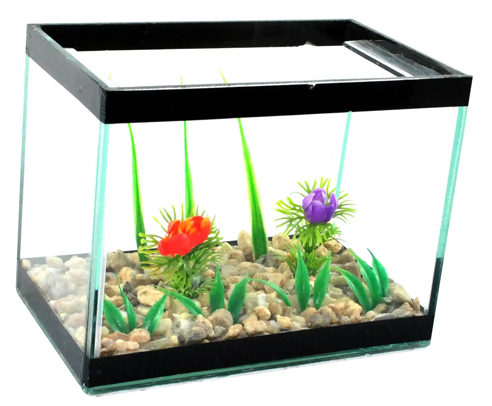 Aquário Beteira Tubular Decorada 1un