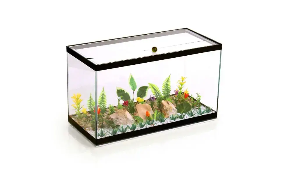Aquario Standart N. 02 Imperium